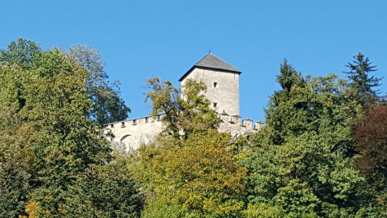 Apartment Villa Leopoldskron Salzburg Exteriör bild